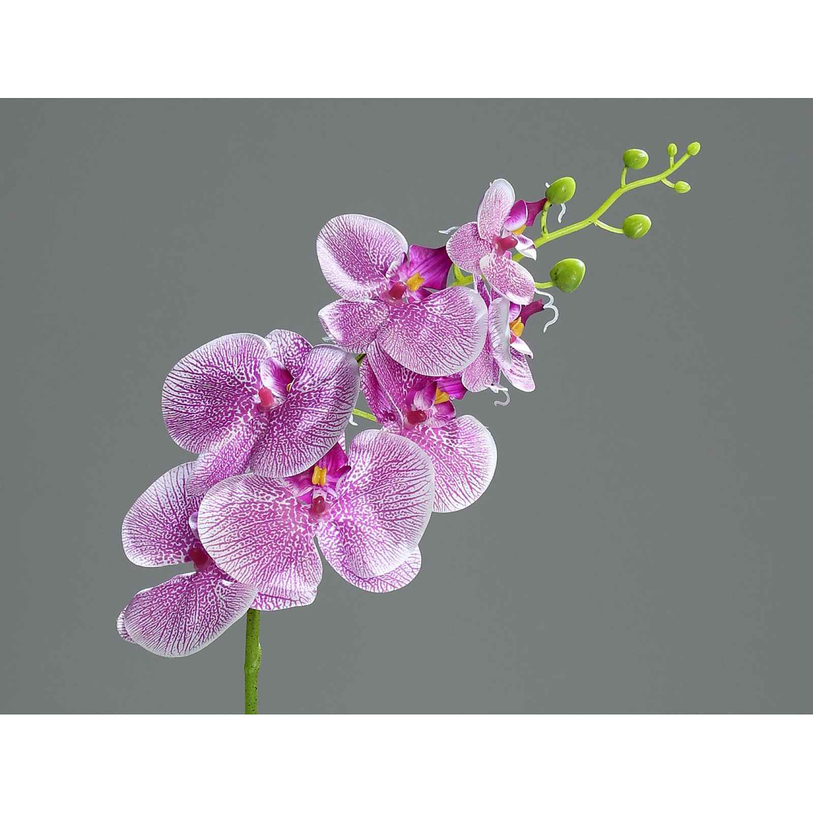 Umělá květina Orchidej, fialovo-bílá
