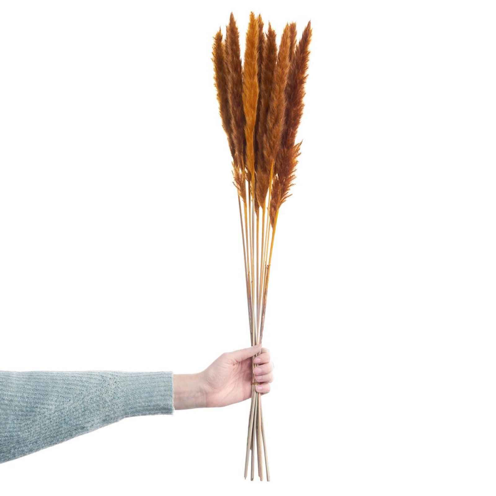 Butlers FLOWER MARKET Sušená pampová tráva 70 cm