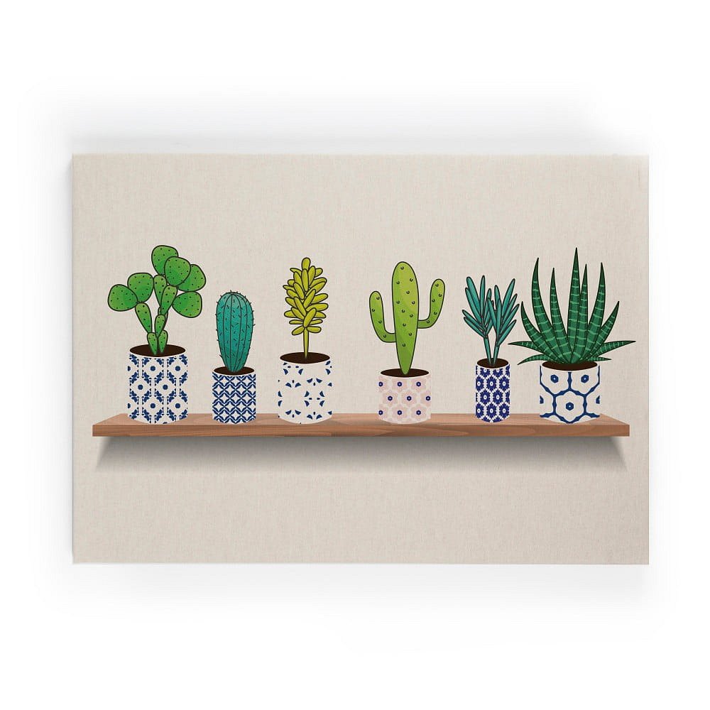 Obraz na plátně Really Nice Things Lino Cactus Shelve, 50 x 70 cm