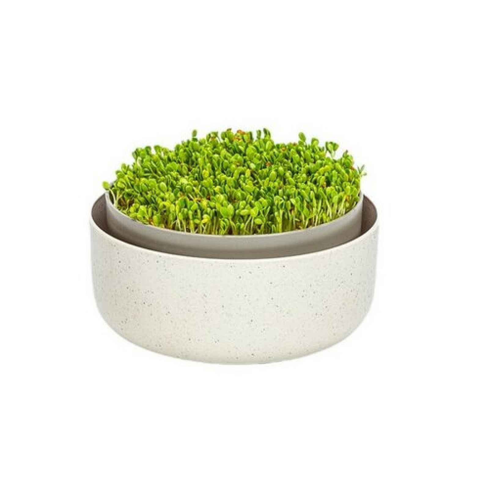 Plastia Microgreens, slonová kost