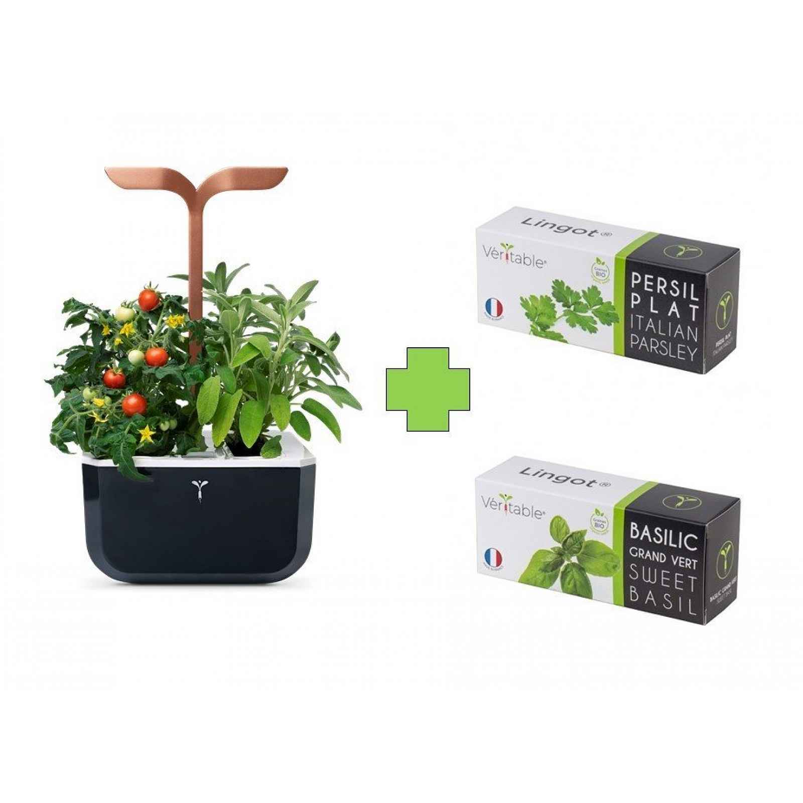 Chytrý květináč Véritable® Exky SMART, měděný + 2 lingoty (petržel, bazalka)