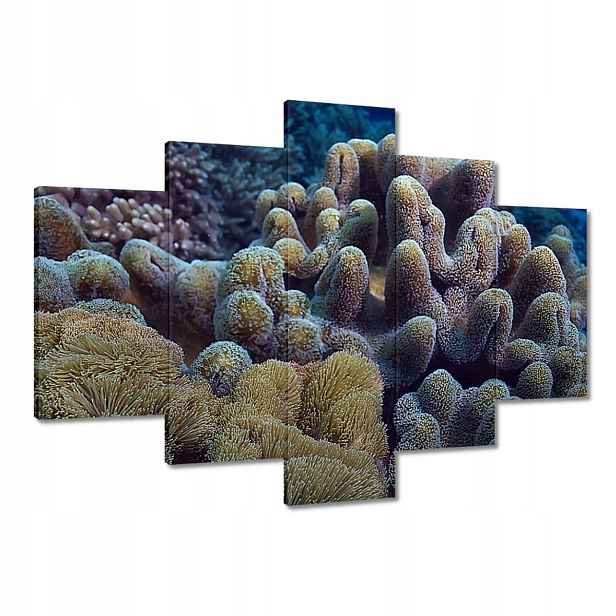Obrazy 150x105 Žlutý korálový útes