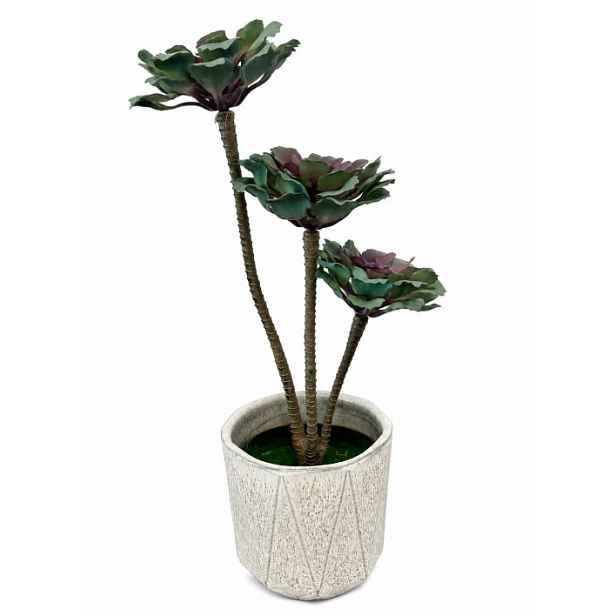 Umělý sukulent 50 cm v květináči eonium, tmavá zeleň