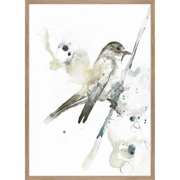Obraz 50x70 cm Bird 2 – Malerifabrikken