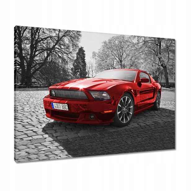 Obrazy 80x60 Červený Mustang
