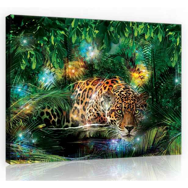 Obraz Na Plátně Canvas 70x50 Jaguar Kočka Džungle