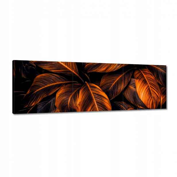 Obrazy 150x50 Oranžové listy