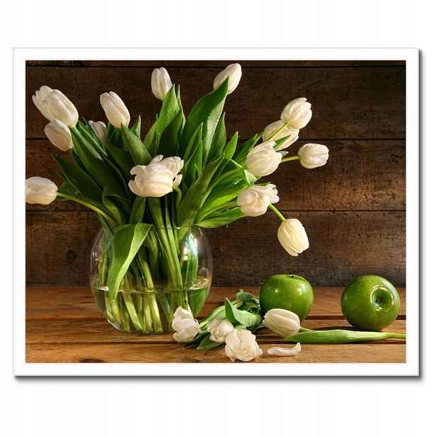 Plakáty v rámu 50x40 Bílé tulipány Desky