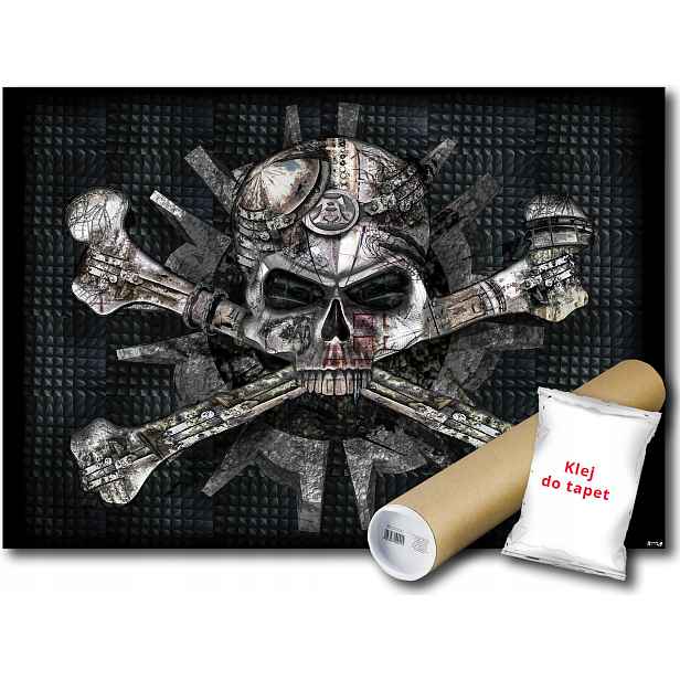 Fototapeta Lebka Temnota 21A F2XL 312x219 F10843