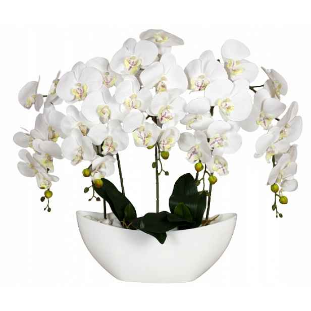 Orchidej Silikonový, 5 Výhonků, Velký