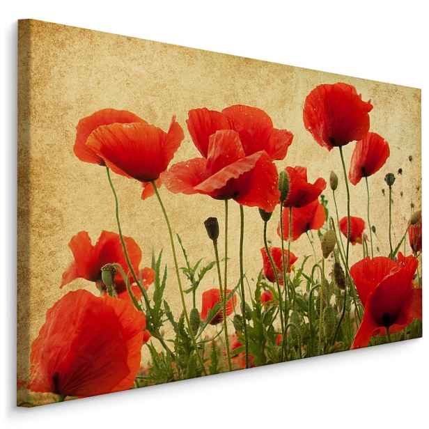 Plátno Vintage Divoký Mák Varianta: 30x20