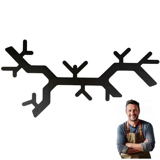 Nástěnný věšák na oblečení 250 x 500 mm Větvička Černý matný