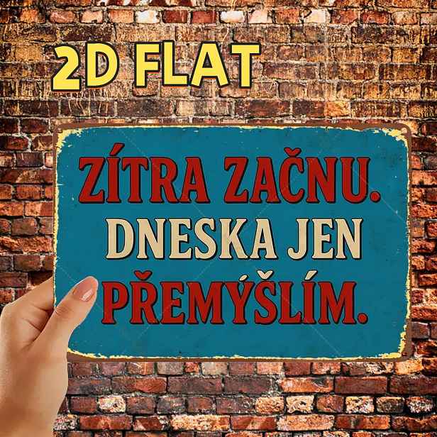 TEMU 2D plochá, 2D plochá, 1 ks, vtipná cedule ve vintage stylu s českým citátem, kovová železná cedule, předvrtané otvory, vhodná pro interiér,