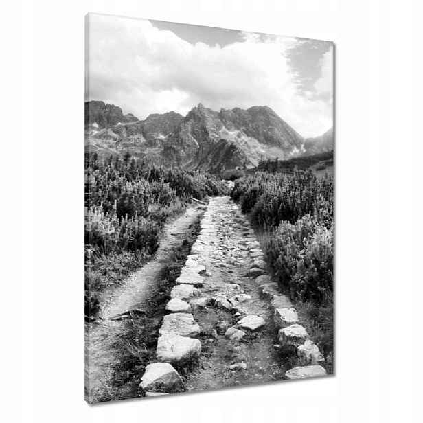 Obrazy 60x80 Tatry Polské hory Pohled