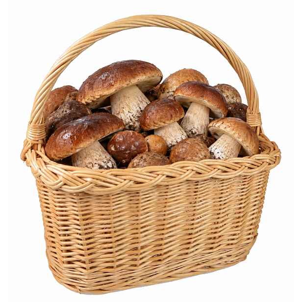 Velký proutěný nákupní košík Piknik Houby