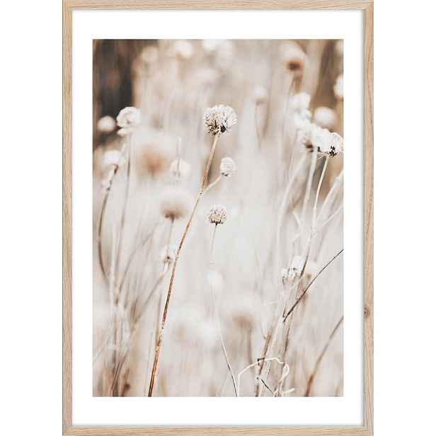 Obraz 50x70 cm Beige I – Styler