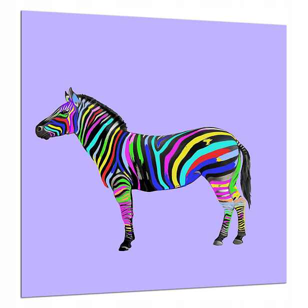 Skleněná Deska Ochranná 60x65 Zebra
