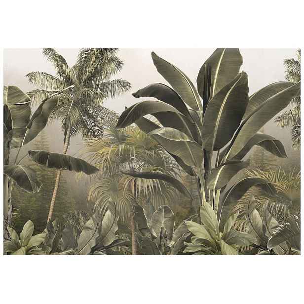 Fototapeta Tropický les Palmy Zelená Botanika Perspektiva 208x146 lepidlo
