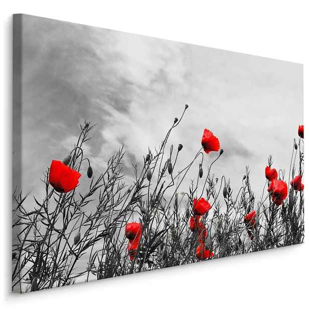 Plátno Červené Máky Varianta: 90x60