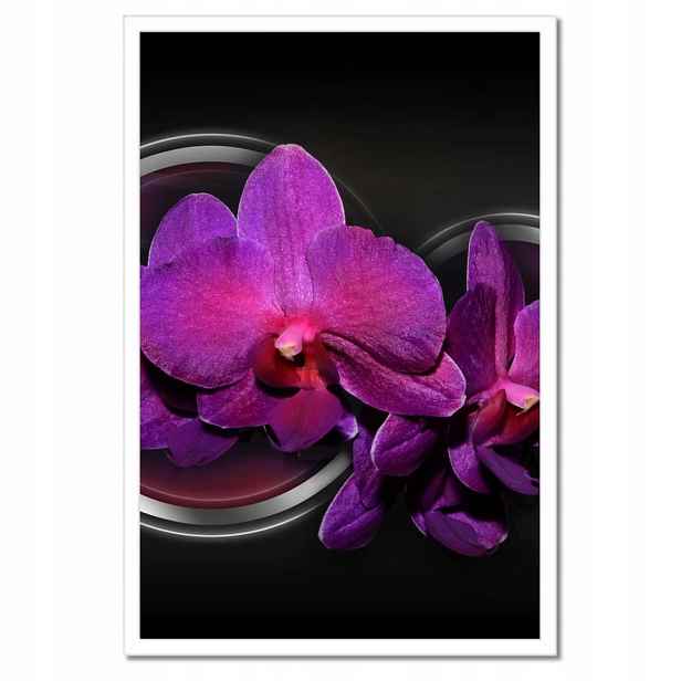 Plakáty v rámu 40x60 Fialová orchidej