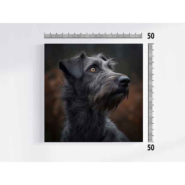Obraz Na Plátně Canvas Portrét Psa Irský Vlkodlak Wolfhound 50x50