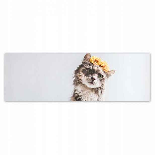 Plakáty 200x66 Kočka Kočky Kicia