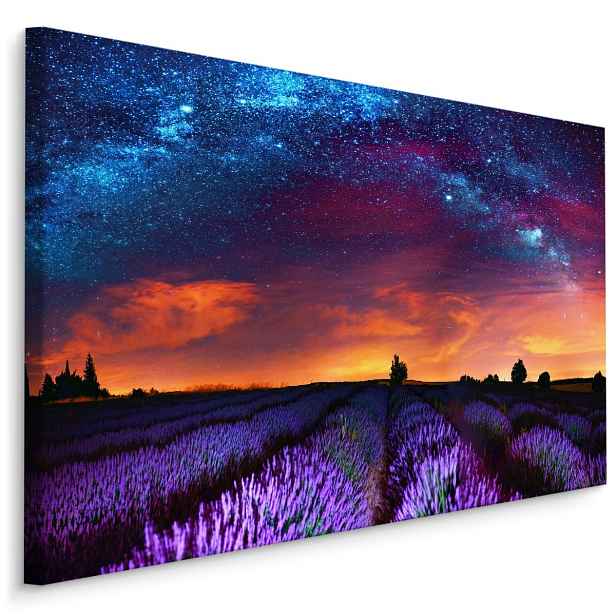 Plátno Levandulové Pole Za Hvězdné Noci Varianta: 100x70