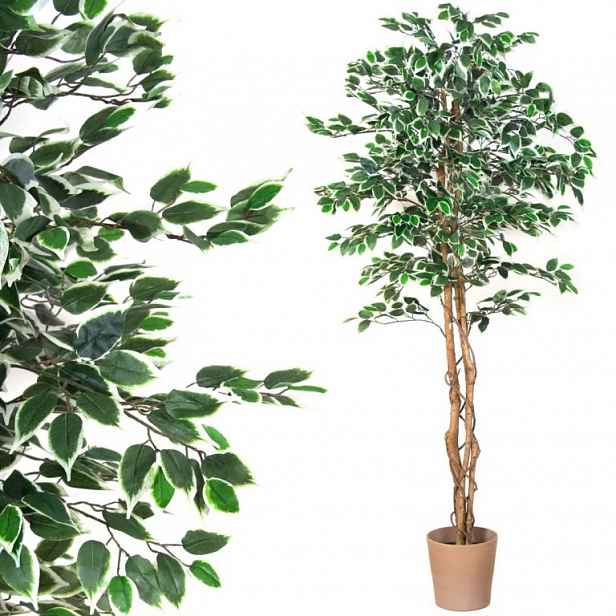 PLANTASIA 1654 Umělá květina fíkus, 190 cm