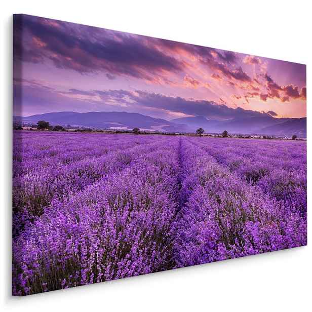 Plátno Krásná Levandulová Krajina 3D II. Varianta: 40x30