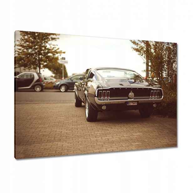 Obrázky 100x70 Ford Mustang Černobílé