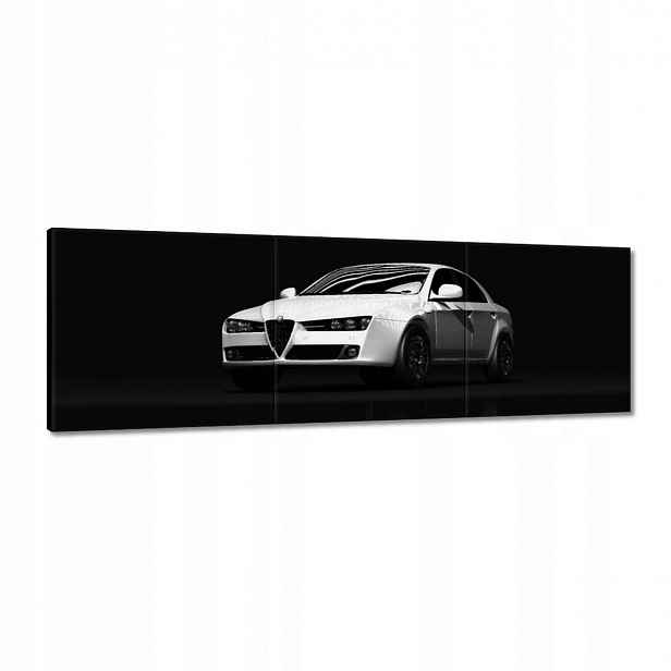 Obrazy 120x40 Alfa Romeo