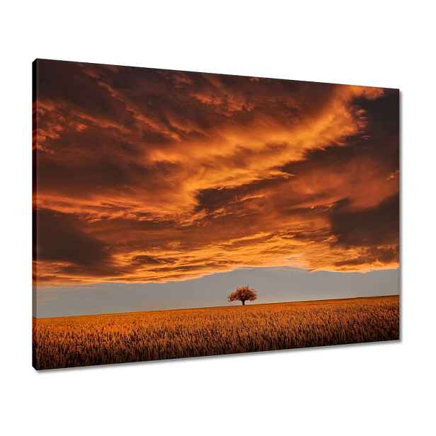 Obrazy 80x60 Oranžové nebe