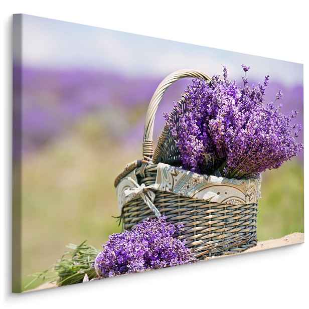 Plátno Košík S Květy Levandule Varianta: 30x20