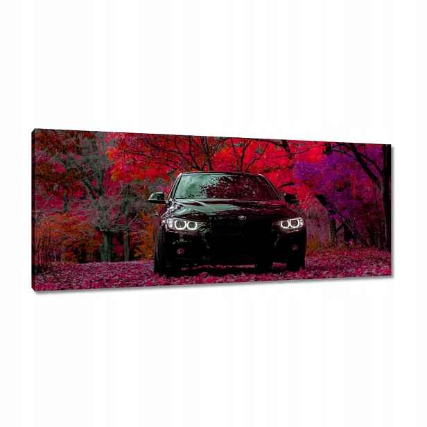 Obrazy 100x40 Černé Bmw Podzim