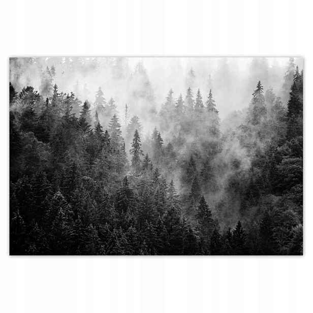 Fototapety 200x135 Krajina Šedá Hory Mlha