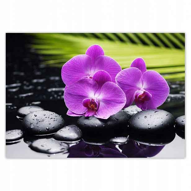 Fototapety 416x290 Orchidej na Valentýna
