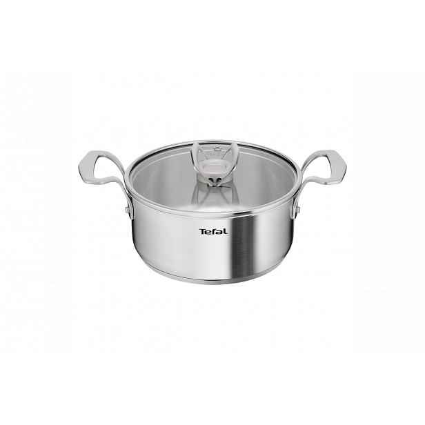 Kastrol s poklicí Tefal Extreme 20 cm E5294404