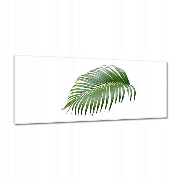 Obrazy 100x40 Zelený list Minimalismus