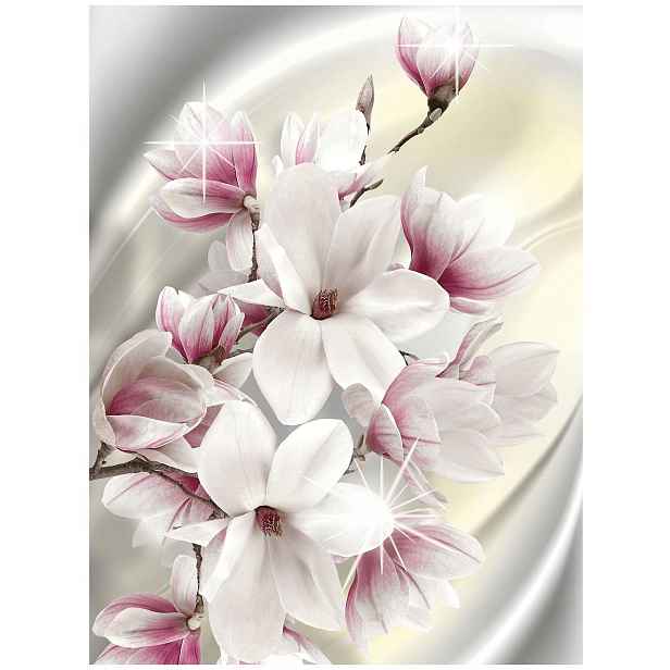 3D Fototapeta do ložnice Magnolie květiny 184x254