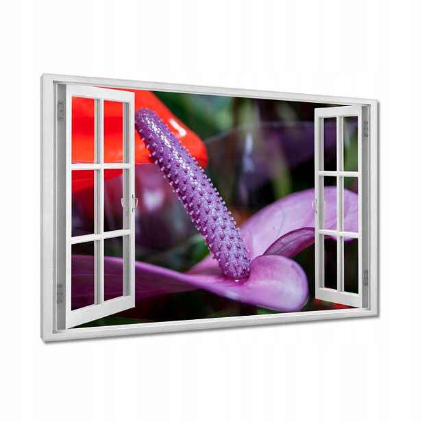 Obrazy 120x80 Fialové anturium