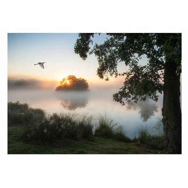 Fototapeta Jezero Mlha Stromy Krajina 254x184