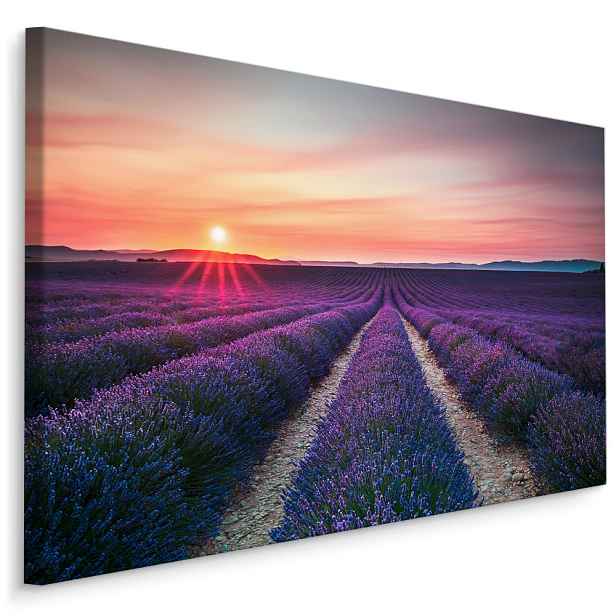 Plátno Levandulové Pole Při Západu Slunce I. Varianta: 70x50