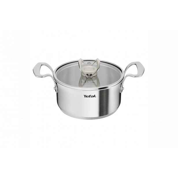 Kastrol s poklicí Tefal Extreme 18 cm E5294304