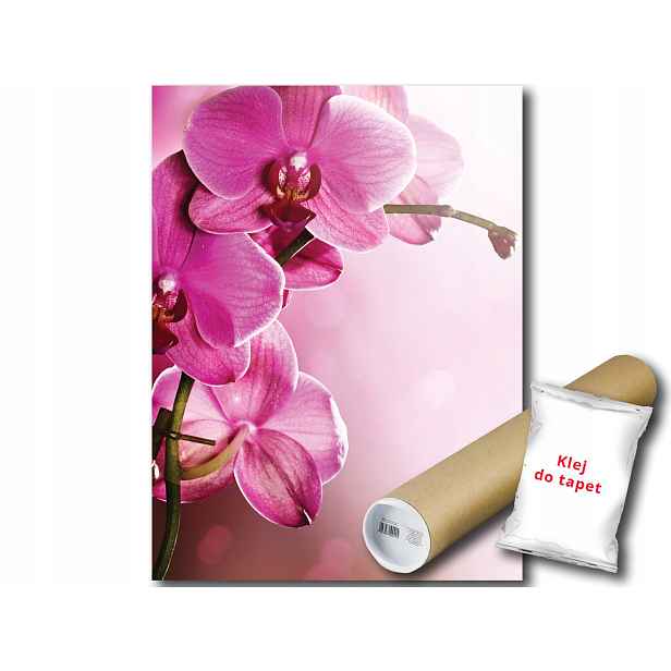 Fototapeta Růžový Orchidej 9D Panxl 206x275 F1033