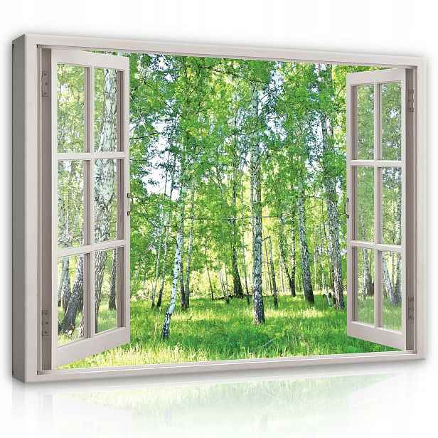 Obraz Na Plátně Canvas 80x60 Okno Pohled Do Lesa 3D