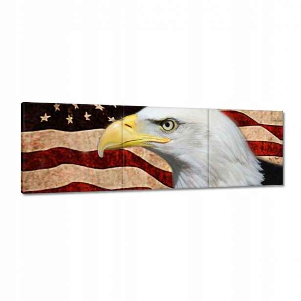 Obrazy 120x40 Americký orel