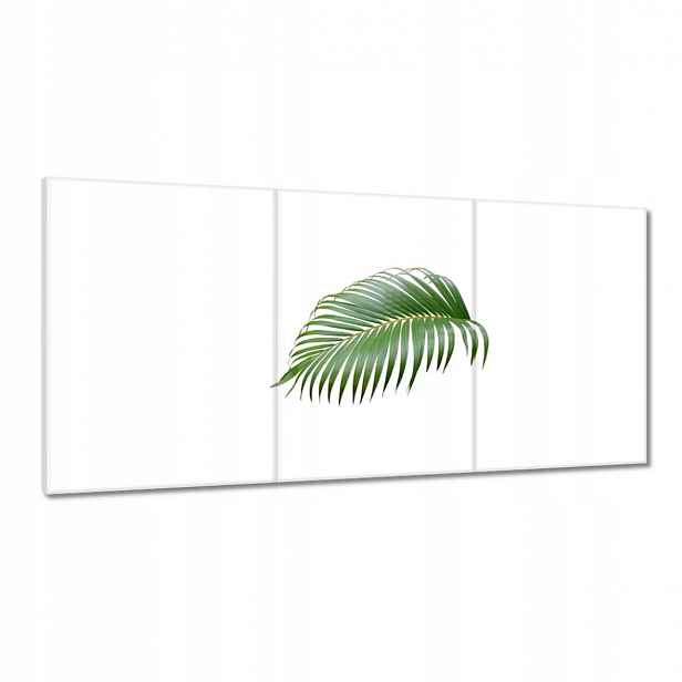 Obrazy 180x90 Zelený list Minimalismus