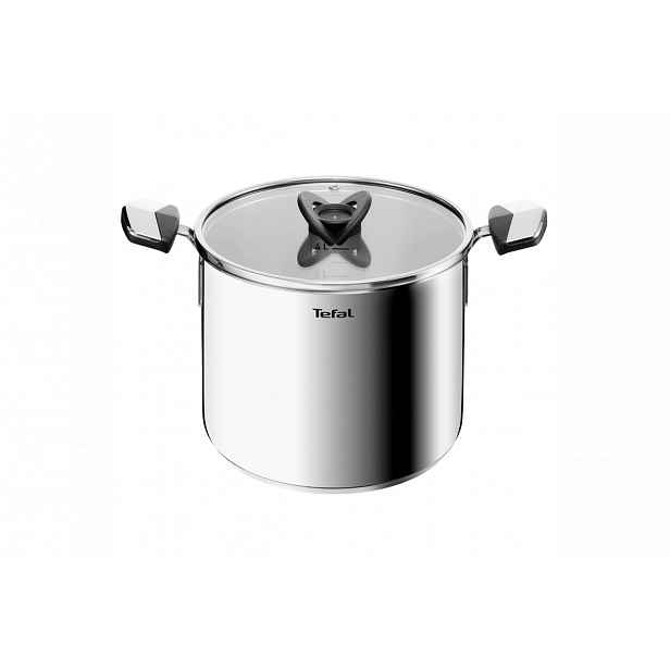 Hrnec s poklicí Tefal Emotion+ 22 cm E3286145