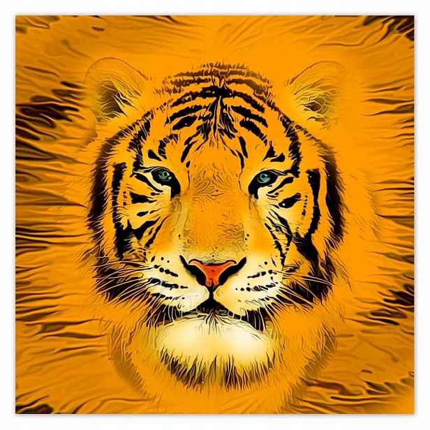 Plakáty 140x140 Orange Tiger Tygr