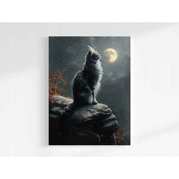 Obraz Na Plátně Canvas Noc Temnota Nebe Měsíc Šedá Kočka Kocur 60x80